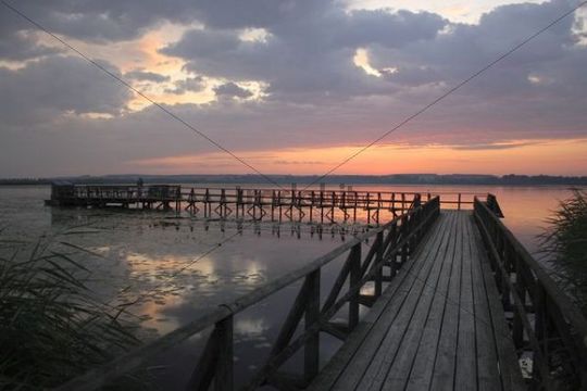 am Federsee, Federseesteg, Naturschutzgebiet b...
