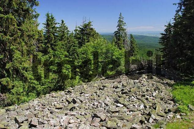 Keltischer Ringwall im Naturschutzgebiet Altkönig, Taunus, Hes...