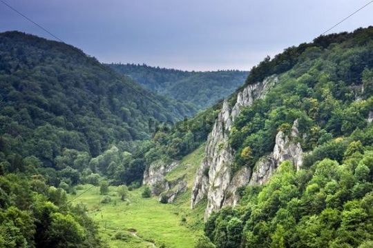 Der Berg Gora Korona, Ojcowski-Nationalpark, Polen, Europa - Runter...