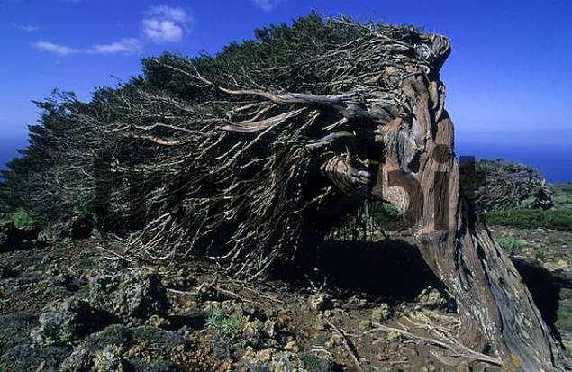 Hierro Canary Islands. El Hierro Canary Islands