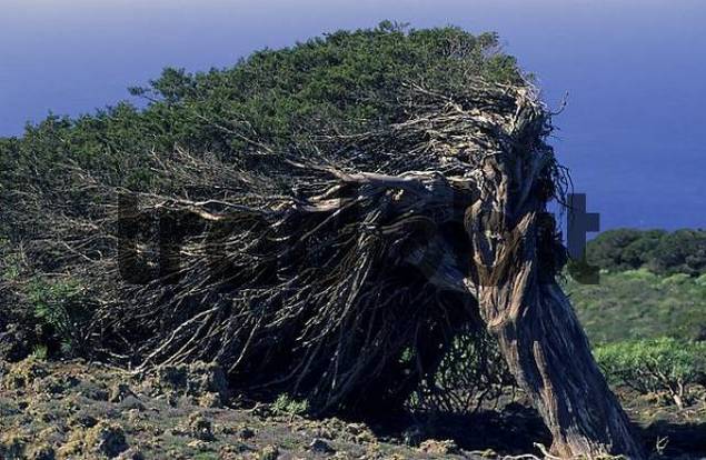 Hierro Canary Islands. El Hierro Canary Islands