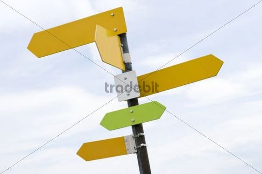 blank signpost. Blank signpost