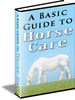 A Basic Guide To Horse Care