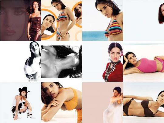 Pay for Salma Hayek free Wallpaper. File Data: Pay for Salma Hayek free Wallpaper. File Data: