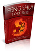 Thumbnail Feng Shui Fortunes