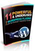 11 Powerful Wordpress Plugins For Internet Marketers