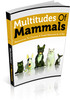 Multitudes Of Mammals 