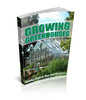 Growing Plants In Your Own Greenhouse