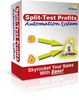 Thumbnail Split-Test Profits Automation System with PLR