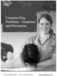 Thumbnail Common Dog Problems - Treatment and Prevention Thumbnail Common Dog Problems - Treatment and Prevention