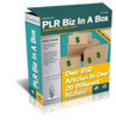 Thumbnail **20 Hot** PLR Niches In A Box