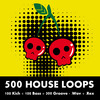 Thumbnail 500 House Loops
