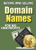 Thumbnail Buying and Selling Domain Names for Big Profit Thumbnail Buying and Selling Domain Names for Big Profit