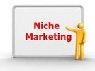 Thumbnail Niche Marketing Revealled