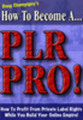 Thumbnail how to become plr pro with MRR
