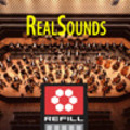 Thumbnail RealSounds Reason ReFill - Ensemble Double Bass