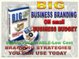 Thumbnail Big Business Branding On A Small Business Budget