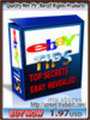 Thumbnail eBay Tips_PLR