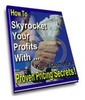 Thumbnail Skyrocket Your Profits