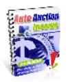 Thumbnail REPORTautoauctionincome.pdf