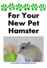 Thumbnail Caring For Your New Pet Hamster + 25 FREE Reports ( Bargain Hunter Warehouse )