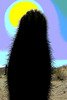 Thumbnail Arizona Cactus abstract 4