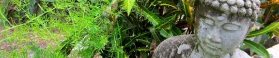 Thumbnail Buddha statue in a peaceful garden, web banner photo,