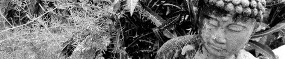 Thumbnail Buddha statue, web banner photo, black and white