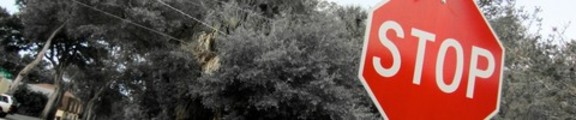 Thumbnail STOP sign, Web site banner photo