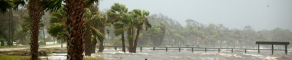 Thumbnail Rain and Trees, Hurricane Jeanne, web banner photo