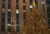 Thumbnail Rockefeller Center Christmas tree and shadow, NYC