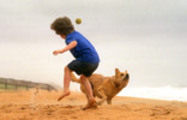 Thumbnail A boy plays with his dog on the beach