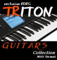 Thumbnail Exclusive Korg Triton Guitars Collection