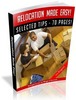 Thumbnail Relocation Made Easy Free PLR Ebook download