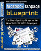 Thumbnail FACEBOOK FAN PAGE BLUE PRINT 