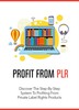 Thumbnail Profit From PLR. Thumbnail Profit From PLR.