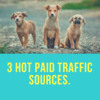 Thumbnail  3 Hot Paid Traffic Sources. 