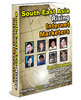 Thumbnail South East Asia - Rising Internet Marketers