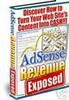 Thumbnail Adsense Revenue Exposed