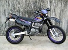 Thumbnail 1999 Yamaha TTR 250 L(G) Service Repair Manual DOWNLOAD