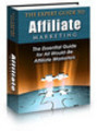Thumbnail The Expert Guide to Affiliate Marketing (with PLR)
