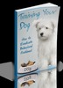Thumbnail Training Your Dog eBook