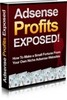 Thumbnail Adsense Profits Exposed