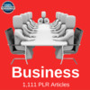 Thumbnail Business PLR Private label Rights Articles 2016