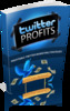 Thumbnail 2010 twitter profits -PLR