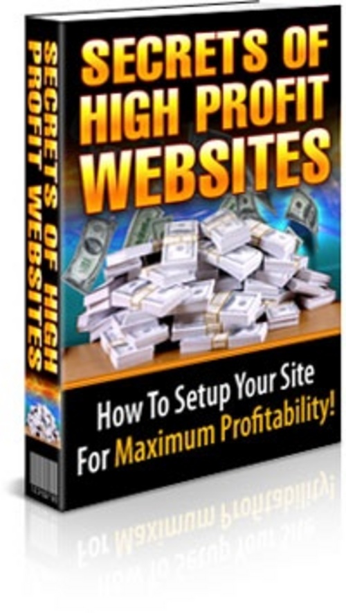 Thumbnail The Secrets of High Profit Websites