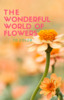Thumbnail The Wonderful World of Flowers