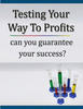 Thumbnail Avoid losing Sales By Testing Your Way To More Money