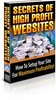 Thumbnail The Secrets to High Profit Websites