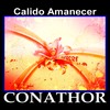 Thumbnail FLP CONATHOR - Calido Amanecer